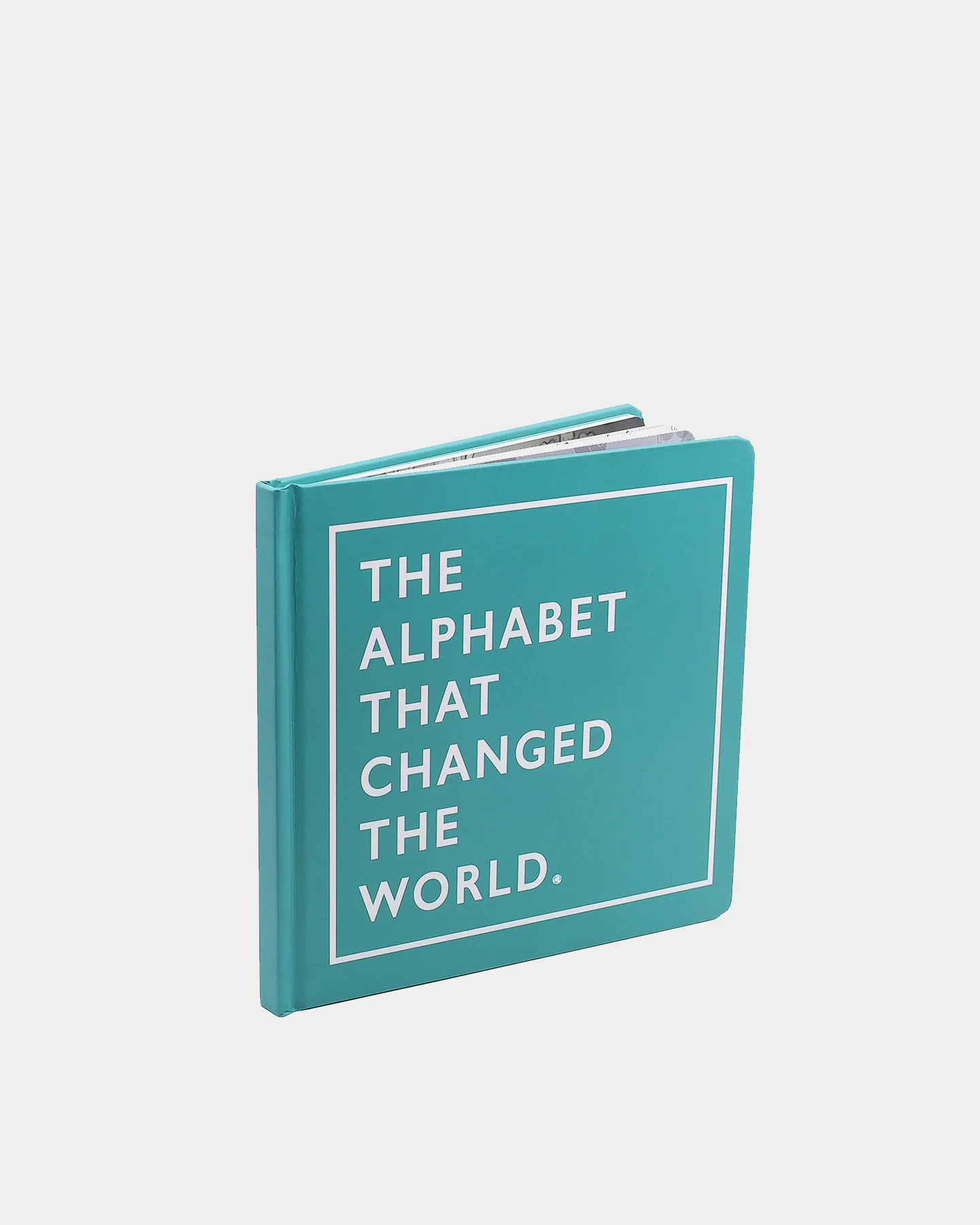 The Little Homie Kid's Alphabet That Changed The World Multi-Coloured